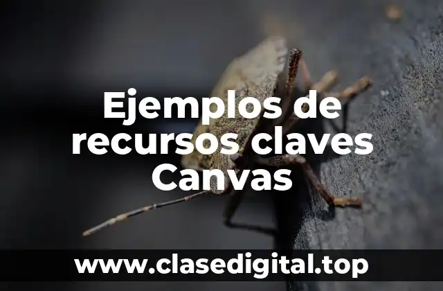 Ejemplos de recursos claves Canvas