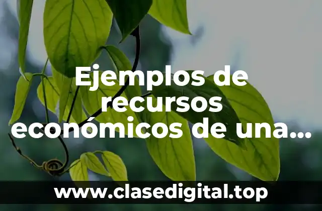 Ejemplos de recursos económicos de una empresa