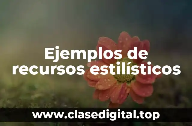 Ejemplos de recursos estilísticos