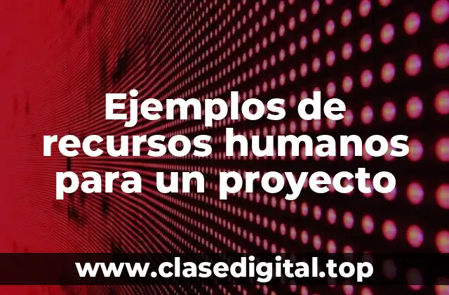 Ejemplos de recursos humanos para un proyecto