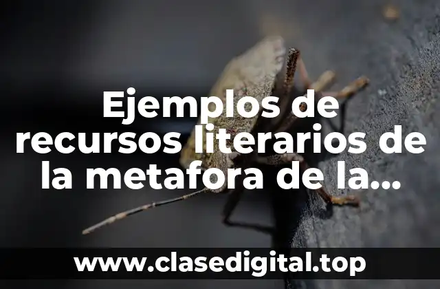 Ejemplos de recursos literarios de la metafora de la rima