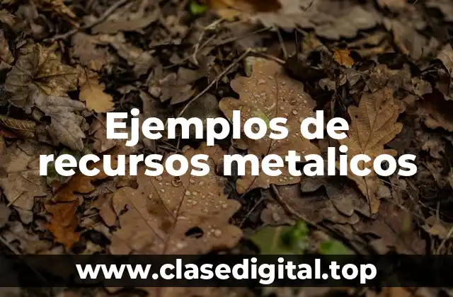 Ejemplos de recursos metalicos