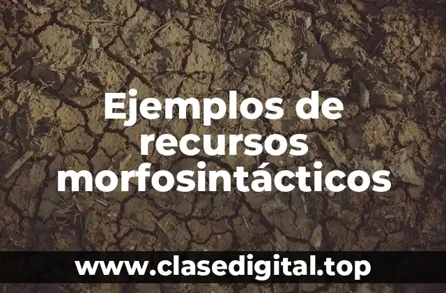 Ejemplos de recursos morfosintácticos
