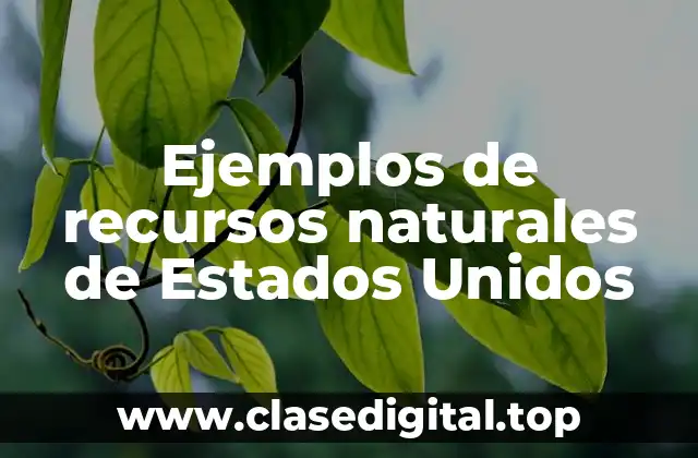 Ejemplos de recursos naturales de Estados Unidos