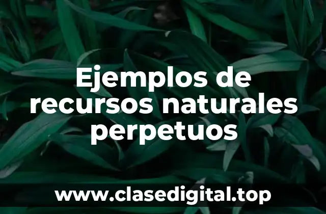 Ejemplos de recursos naturales perpetuos
