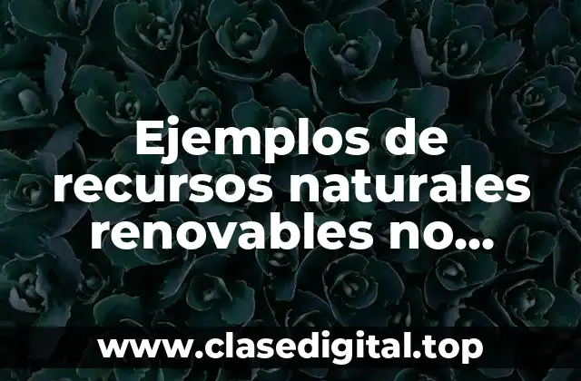 Ejemplos de recursos naturales renovables