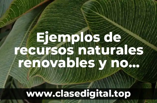 Ejemplos de recursos naturales renovables y no renovables del Ecuador y Significado