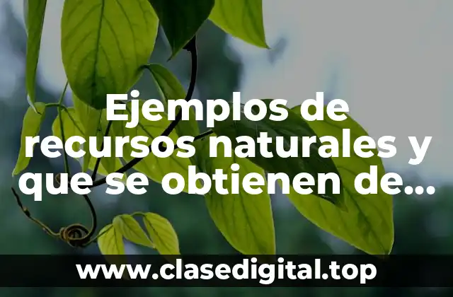 Ejemplos de recursos naturales y que se obtienen de ellos