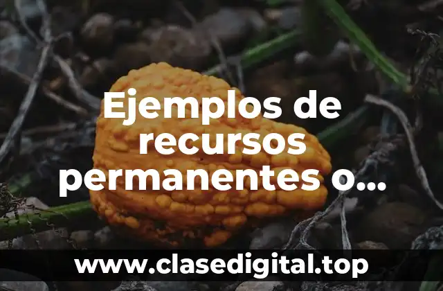 Ejemplos de recursos permanentes o inagotables