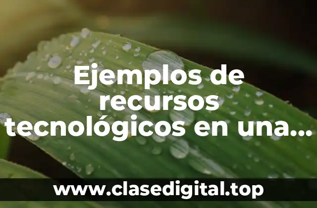 Ejemplos de recursos tecnológicos en una empresa
