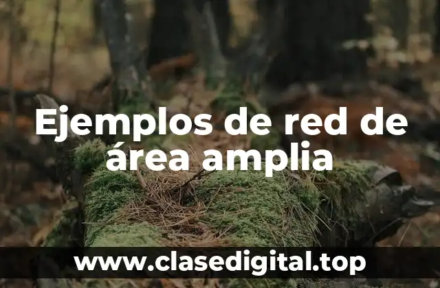 Ejemplos de redes de área amplia