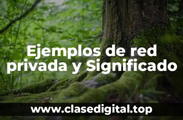 Ejemplos de red privada y Significado