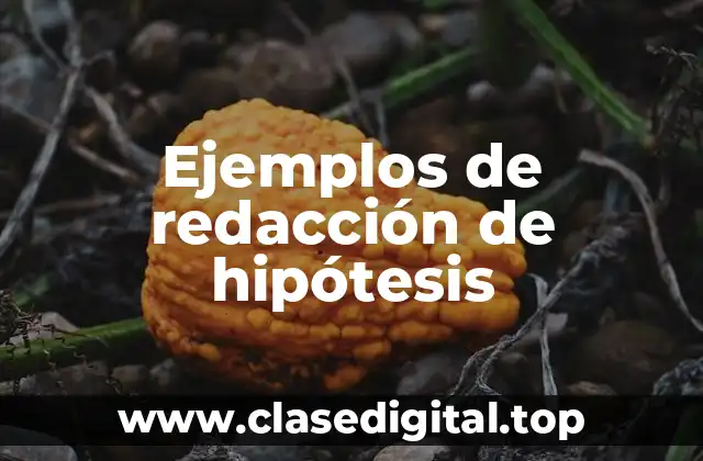 Ejemplos de redacción de hipótesis