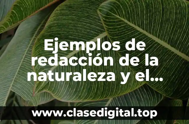 Ejemplos de redacción de la naturaleza y el campo