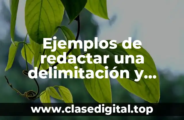Ejemplos de redactar una delimitación y Significado