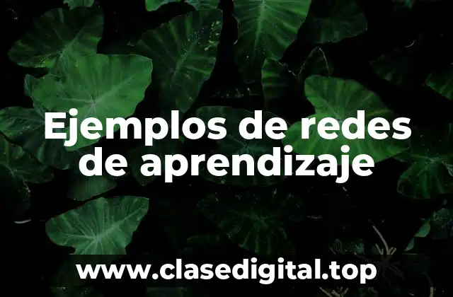 Ejemplos de redes de aprendizaje