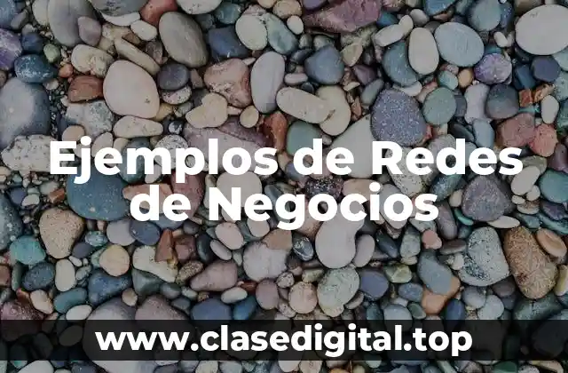 Ejemplos de Redes de Negocios