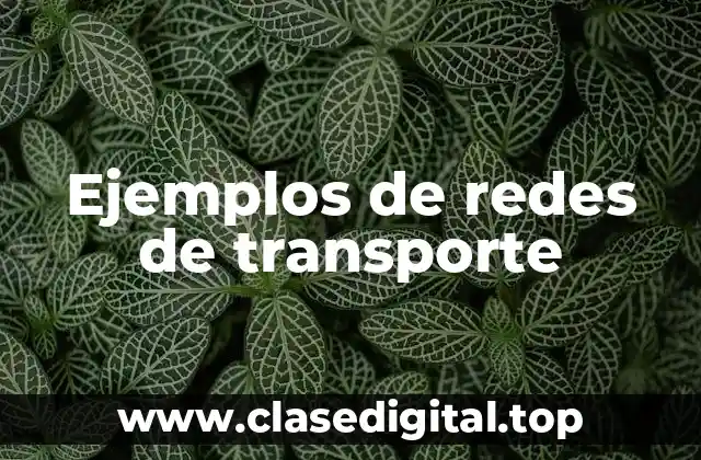 Ejemplos de redes de transporte