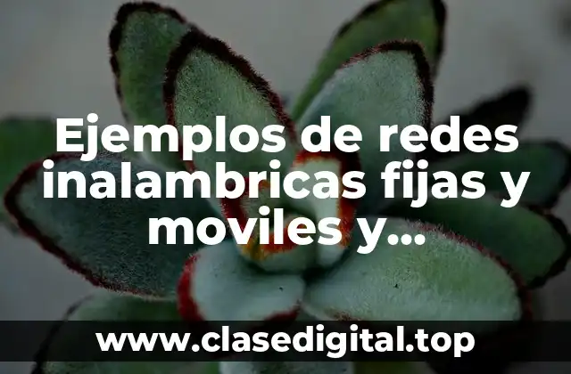 Ejemplos de redes inalambricas fijas y moviles y Significado