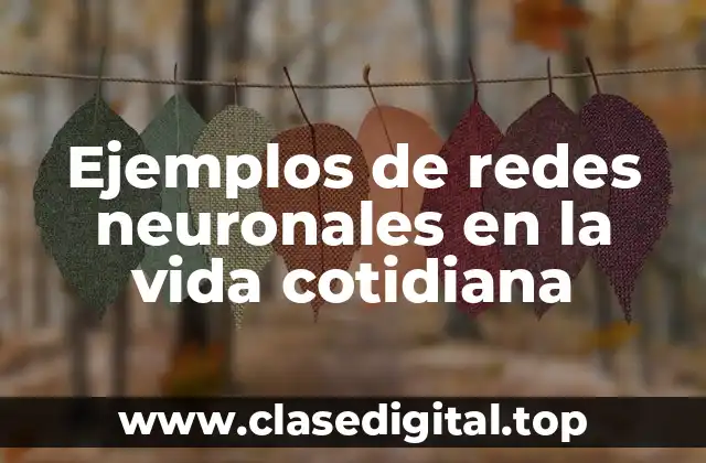 Ejemplos de redes neuronales en la vida cotidiana