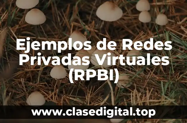 Ejemplos de Redes Privadas Virtuales (RPBI)