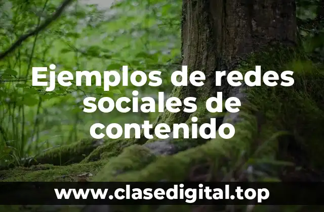 Ejemplos de redes sociales de contenido