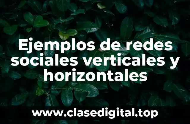 Ejemplos de redes sociales verticales y horizontales