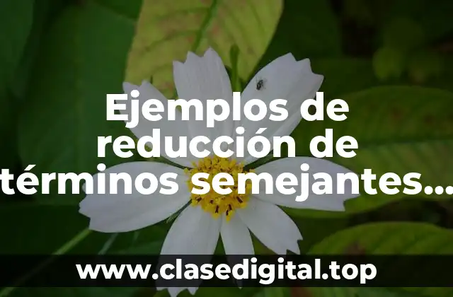 Ejemplos de reducción de términos semejantes con fracciones