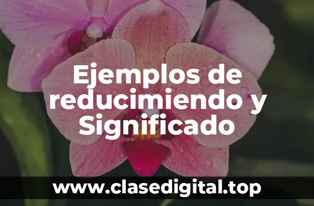 Ejemplos de reducimiendo y Significado