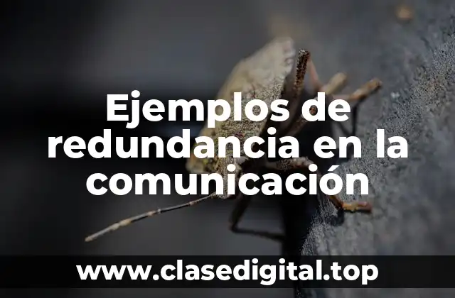 Ejemplos de redundancia en la comunicación