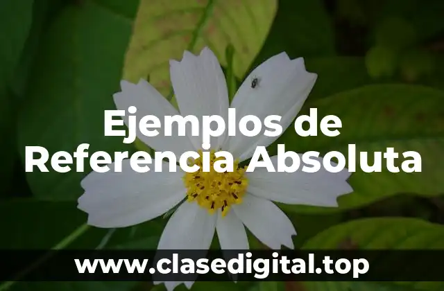 Ejemplos de Referencia Absoluta