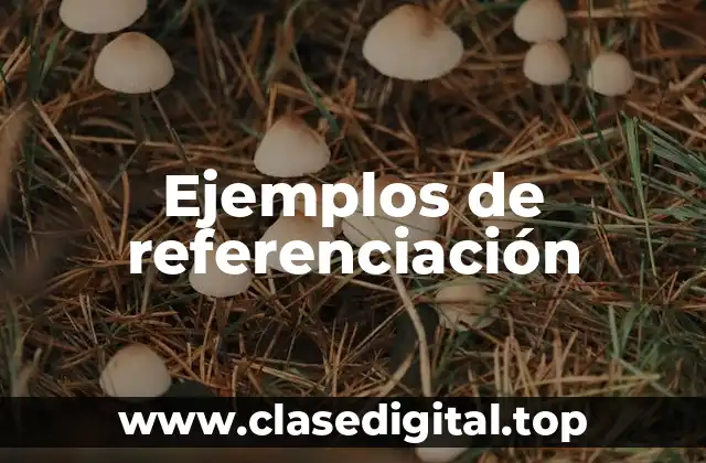 Ejemplos de referenciación