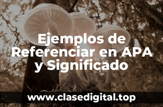 Ejemplos de Referenciar en APA y Significado
