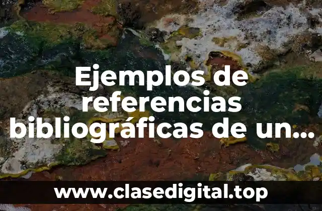 Ejemplos de referencias bibliográficas de un libro