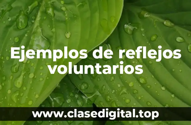 Ejemplos de reflejos voluntarios