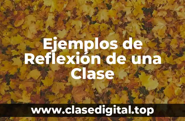 Ejemplos de Reflexión de una Clase