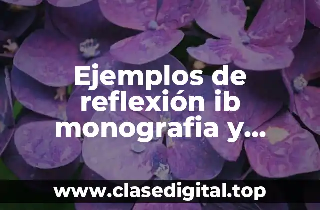 Ejemplos de reflexión ib monografia y Significado