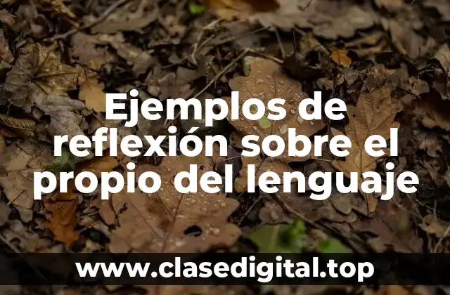 Ejemplos de reflexión sobre el propio del lenguaje
