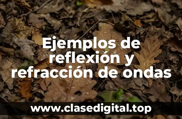 Ejemplos de reflexión de ondas