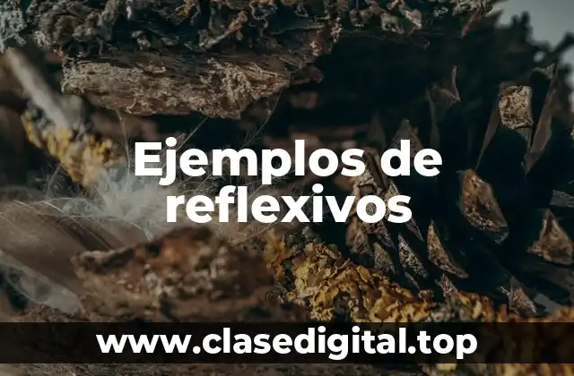 Ejemplos de reflexivos