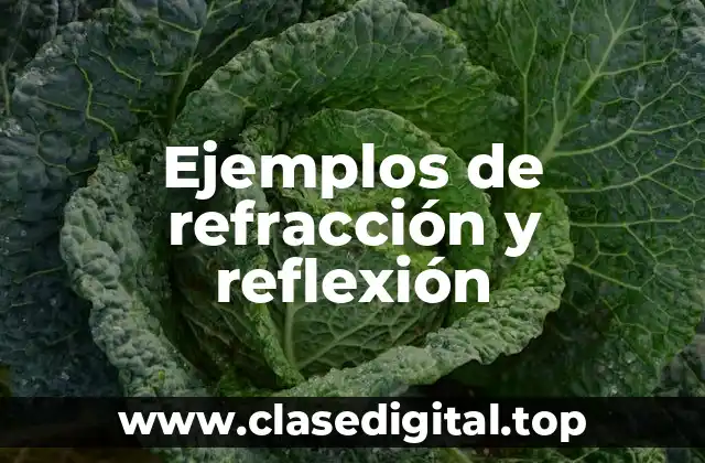 Ejemplos de refracción y reflexión