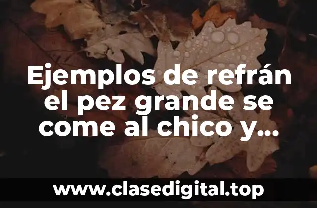 Ejemplos de refrán el pez grande se come al chico y Significado