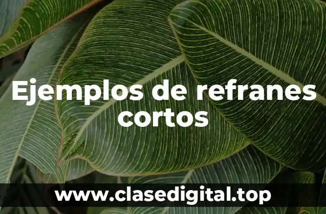 Ejemplos de refranes cortos