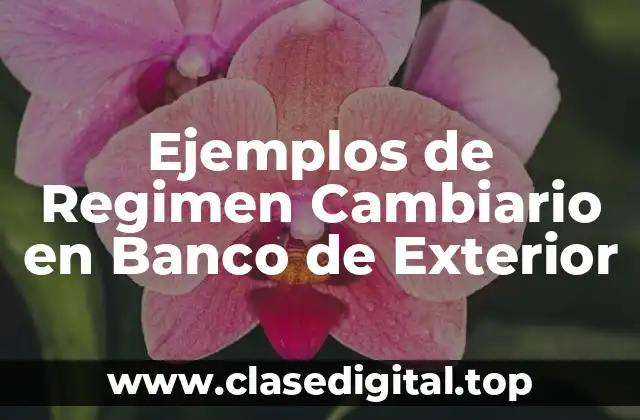 Ejemplos de Regimen Cambiario en Banco de Exterior