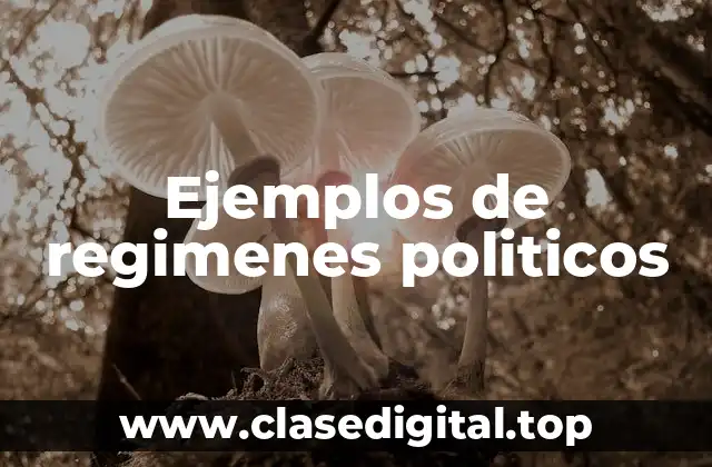 Ejemplos de regimenes politicos