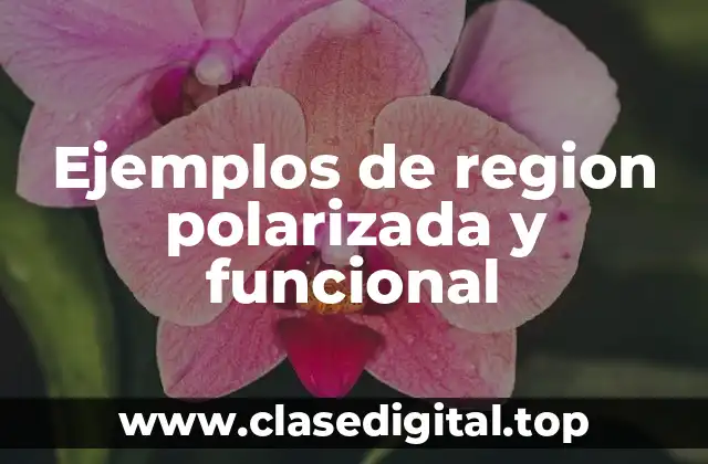 Ejemplos de region polarizada y funcional