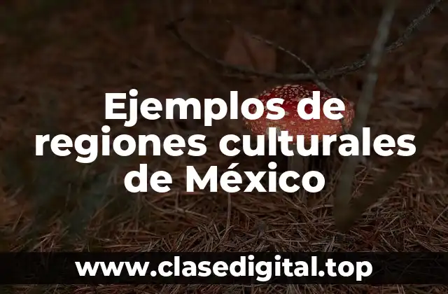 Ejemplos de regiones culturales de México