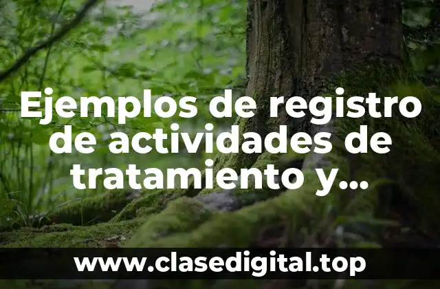 Ejemplos de registro de actividades de tratamiento y Significado