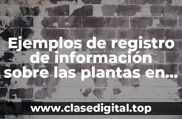 Ejemplos de registro de información sobre las plantas en preescolar