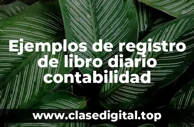 Ejemplos de registro de libro diario contabilidad